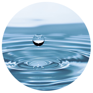 Produse Dezinfectie, Dezinsectie, Deratizare pentru Ferme